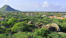 Regent Seven Seas Cruises cacti landscape view from Casibari Rock formation Aruba