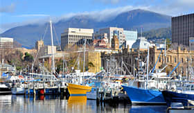 Royal Caribbean fishing boats in Hobart harbour