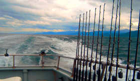 Seabourn Alaska Halibut Fishing