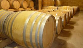 Brown barrels of wine in cellar