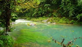 Jungle River - Windstar Cruises