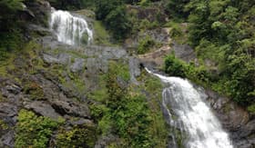 A waterfall in the Cairns Rainforest