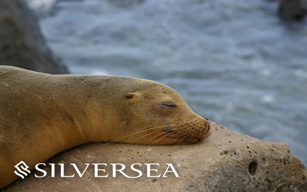 Silversea Galapagos cruises