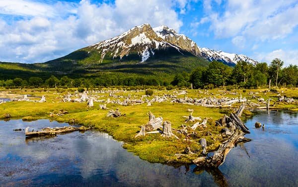 View Port Norwegian Cruise Line-Ushuaia, Argentina