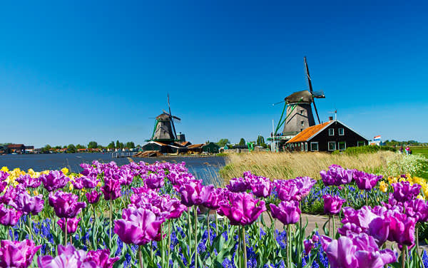 View Port Celebrity Cruises-Amsterdam, The Netherlands
