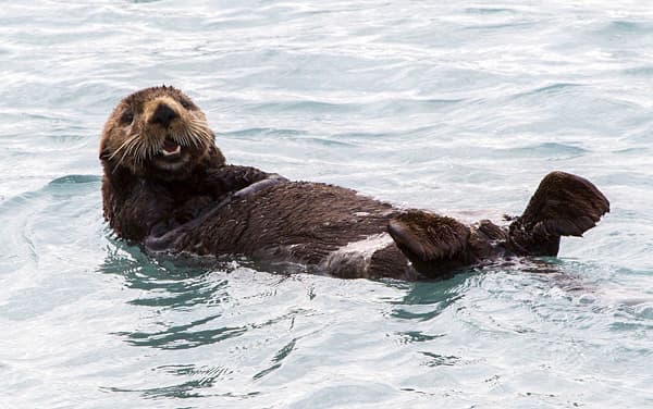 Silversea Cruises-Seward, Alaska