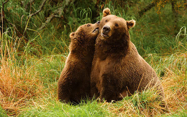 Carnival Cruise Line-Alaska