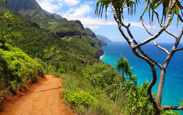 View Destination Norwegian Cruise Line-Hawaii Cruisetours