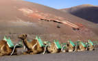 Europe Timanfaya Park in Lanzarote Mediterranean