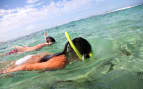 Bahamas couple snorkeling