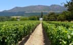 Grape farm Cape Town, South Africa Oceania Cruises