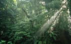 princess cruises caribbean february 2023 Asa Wright Nature Centre Princess Caribbean