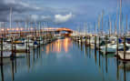 Auckland Harbor Bridge New Zealand Princess Cruise