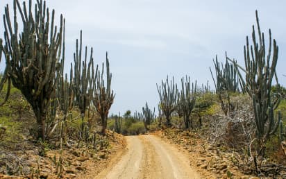 Royal Caribbean Repositioning Cruises 2020 2021 And 2022