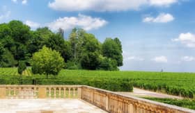 Vineyard in Burgundy, France