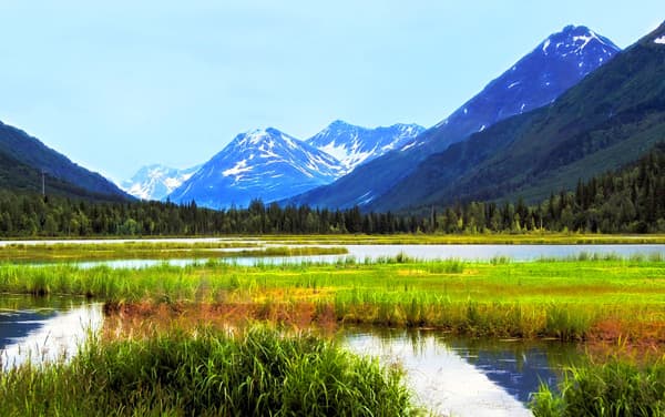 Cruises from Whittier (Anchorage), Alaska from $329*