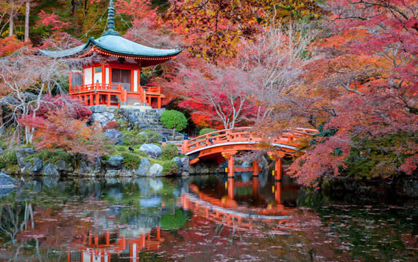 Transpacific Cruises from $1,086.81*