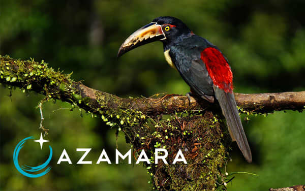 Azamara Panama Canal cruises from $1,656.90*