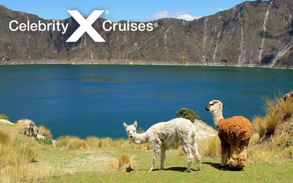 Celebrity South America cruises from $2,027.08*