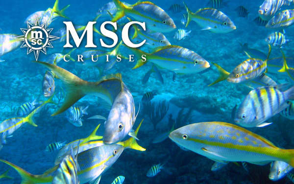 MSC Cruises Bahamas cruises from $159*