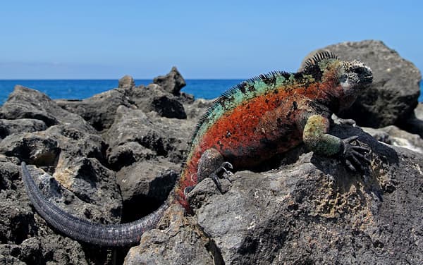 Silver Origin San Cristobal, Galapagos Islands Departure Port