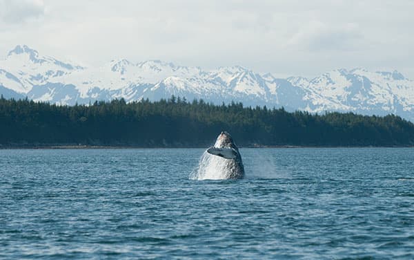 Seabourn Cruise Line-Juneau, Alaska