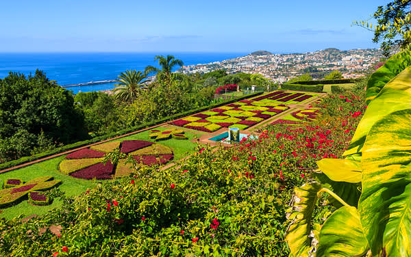 MSC Cruises-Funchal, Madeira, Portugal