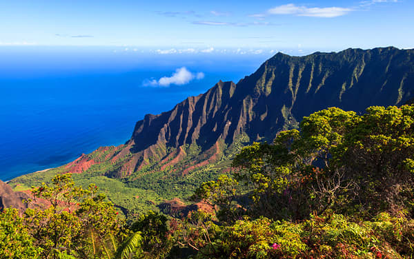 Grand Princess Hawaii Cruise Destination