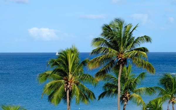 Wind Surf Caribbean Cruise Destination