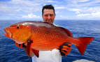 Fisherman and Red Snapper Royal Caribbean Bermuda