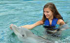 Girl swimming with dolphin Royal Caribbean Bermuda