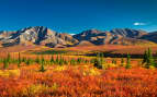 Autumnal Denali Nt. Park scenery with mountain ran