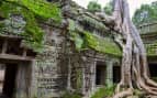 Ta Prohm Temple Siem Reap Cambodia Avalon Waterway