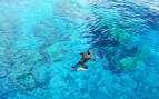 Snorkel in the Clear Waters in Hawaii