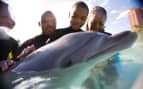 family plays with dolphin Carnival Cruises Mexico