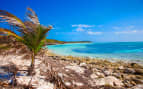 CocoCay Bahamas nature walk Celebirty Cruises