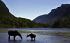 Canada National Park Jacques Cartier Celebrity