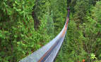 Capilano suspension bridge Canada Holland America