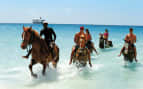 horseback ride excursion Caribbean Holland America