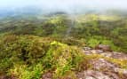 Puerto Rico from El Yunque Peak Holland America