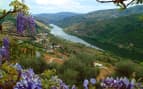 Douro River Valley in Portugal