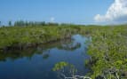 Lucayan National Park Bahamas Norwegian Cruise