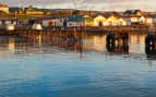 Punta Arenas cityscape, Chile Norwegian Cruise