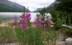 Bennet lake Alaska Regent Seven Seas
