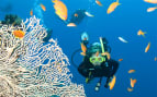 Great Barrier Reef Australia Regent Seven Seas