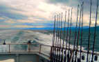 Halibut Fishing in Alaska