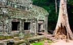 Ta Prohm Siem Reap Camboddia UNESCO World Heritage