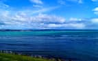 Napier Coastline of New Zealand