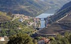 Pinhao Vineyards Douro Valley Viking River Europe