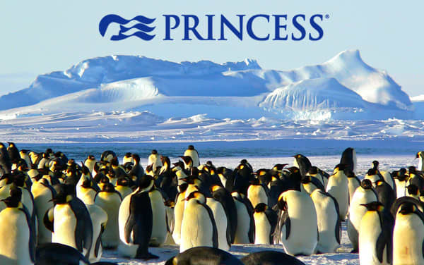 Princess Antarctica cruises from $1,048*